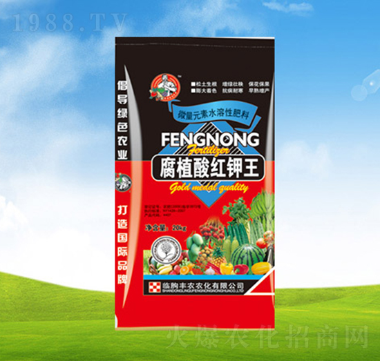 ��ֲ��t���-ֲ��-�S�r(n��ng)�r(n��ng)��