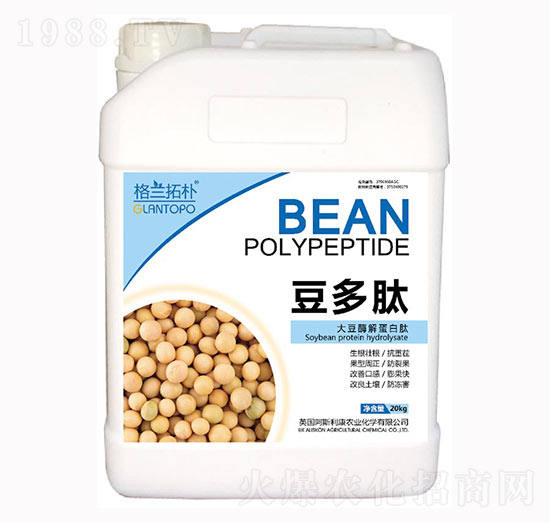 豆多肽-大豆酶解蛋白肽-戈藍(lán)