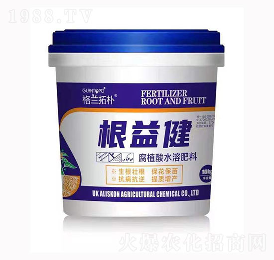 根益健-格蘭拓樸-戈藍(lán)