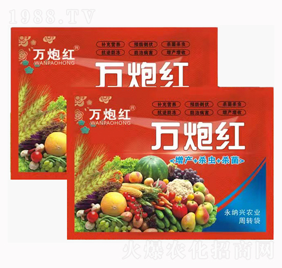 萬(wàn)炮紅-九麥豐