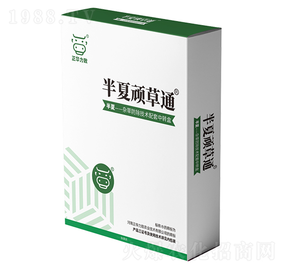 半夏頑草通-正華力致