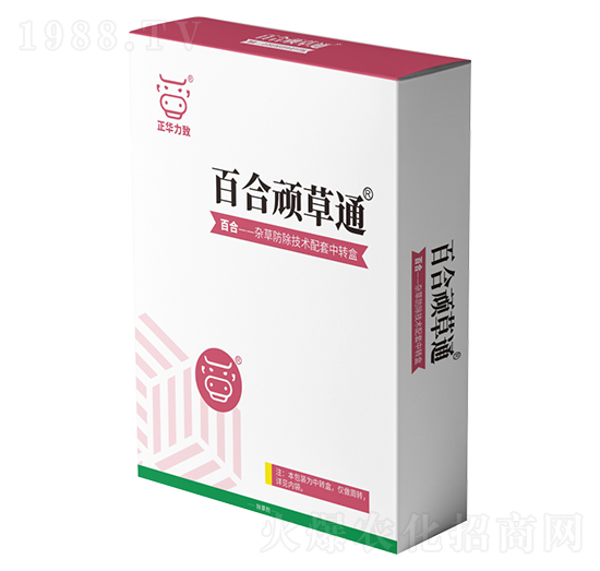 �ٺ��B��ͨ-���A����