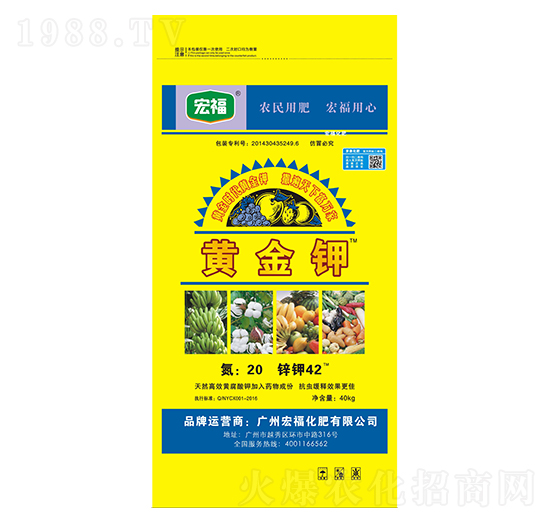 黃金鉀-宏?；? style=
