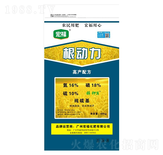 根動力-宏?；? style=