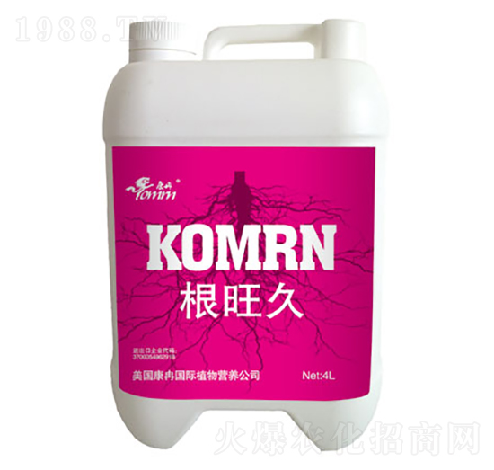 根旺久-康冉國際