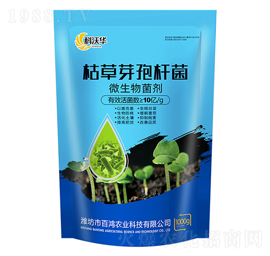 枯草芽孢桿菌-百鴻農業(yè)