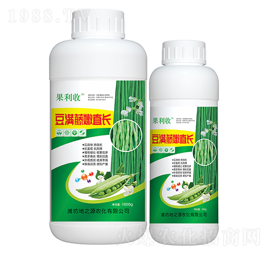 豆?jié)M藤嫩直長-百鴻農(nóng)業(yè)