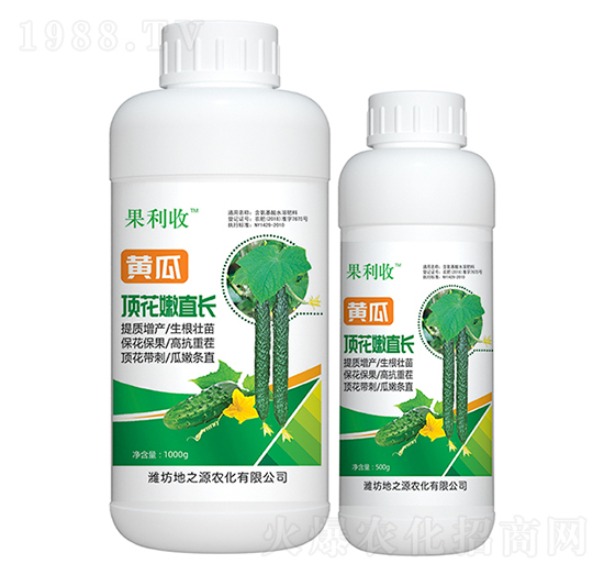 黃瓜頂花嫩直長-百鴻農(nóng)業(yè)