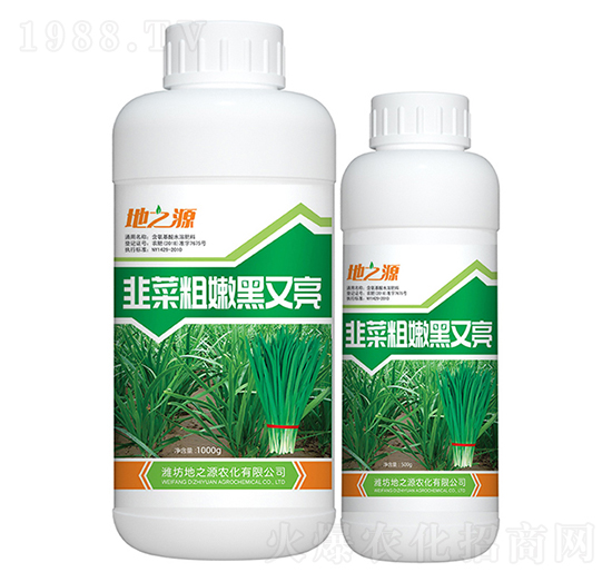 韭菜粗嫩黑又亮-百鴻農(nóng)業(yè)