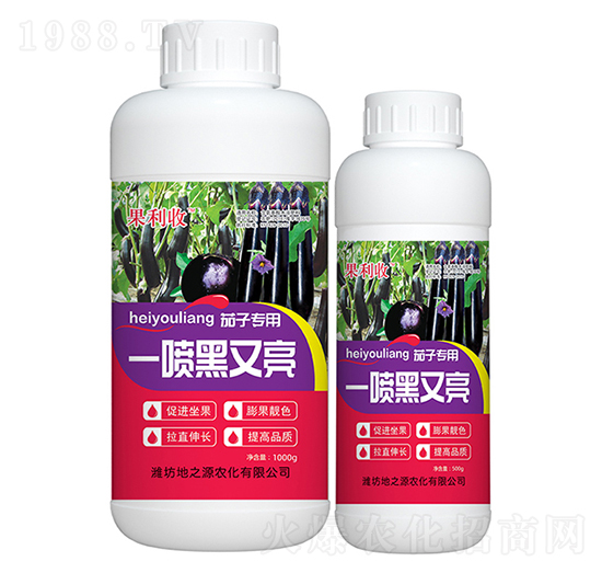 茄子一噴黑又亮-百鴻農(nóng)業(yè)