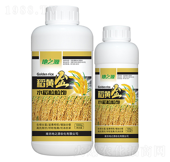 水稻粒粒飽-百鴻農(nóng)業(yè)