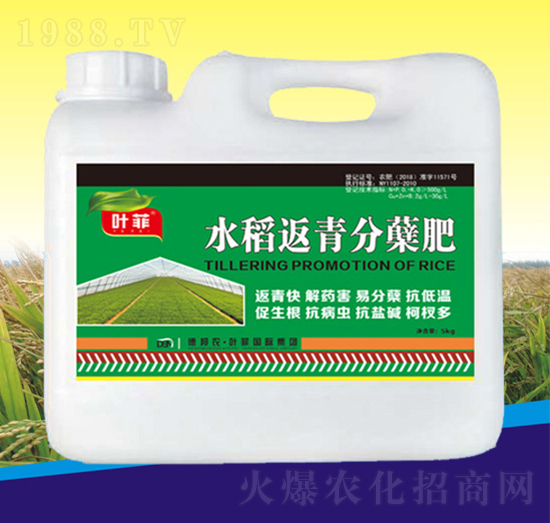 ˮ��������Y��-�°��~��