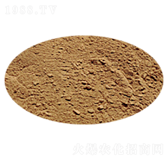 地衣芽孢桿菌-中蓮大地