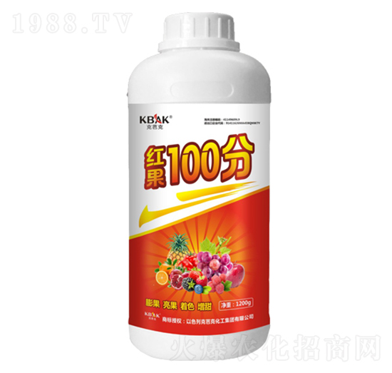 �t��100��-�˰ſ�