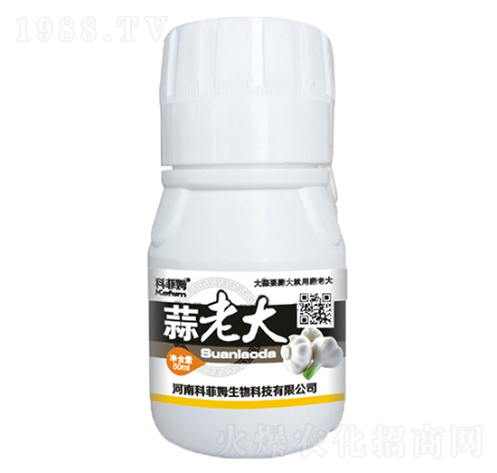 ���ϴ�-�Ʒ�ķ