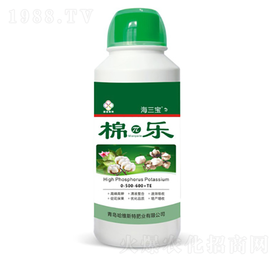 �ަИ�-������-���S˹�طʘI(y��)