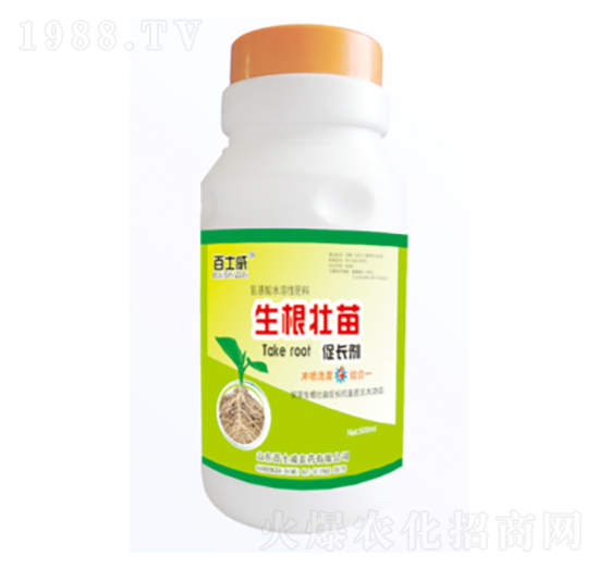 ����������L(zh��ng)��-��ʿ��