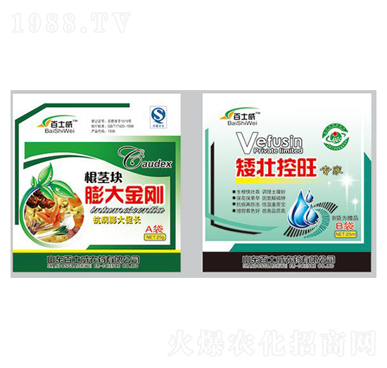 根莖塊膨大金剛+矮壯控旺-百士威