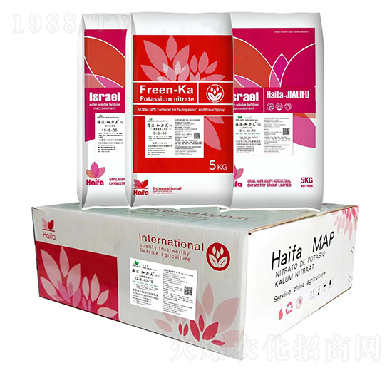 高鉀膨果型大量元素水溶肥料5-5-40-海法加力夫