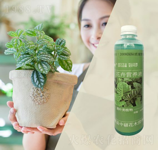 觀葉類(lèi)植物專(zhuān)用營(yíng)養(yǎng)液-林保姆-碩林肥料