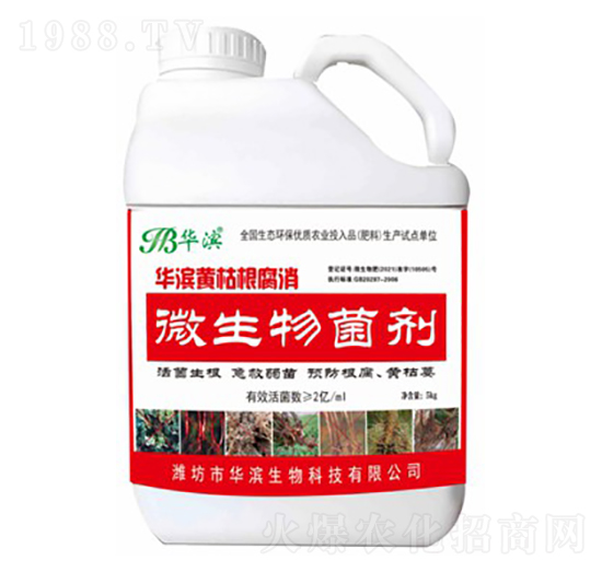 華濱黃枯根腐消-華濱生物