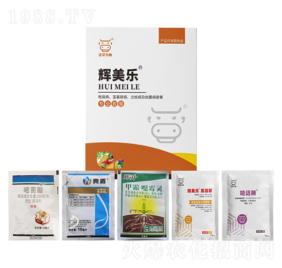 根腐病、莖基腐病、立枯病及枯萎病套餐-輝美樂-正華力致