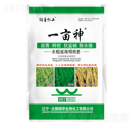 水稻返青柯杈肥-返青肥-一畝神