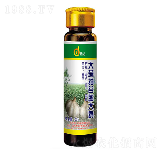 大蒜抽臺(tái)膨大素-浩達(dá)生物