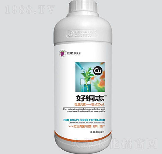 好銅志-紅葡萄