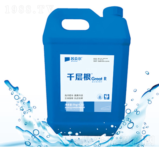 千層根-蘇貝爾