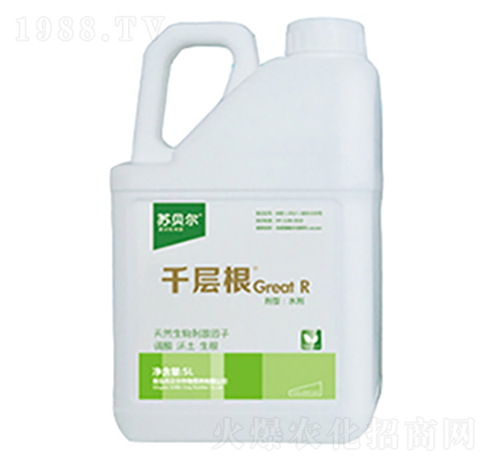 5L千層根-蘇貝爾