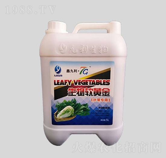 �~�ˌ�������ܛ�S��-����