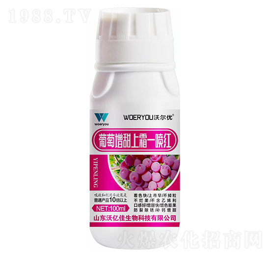 ����������˪һ���t-�֠���(y��u)