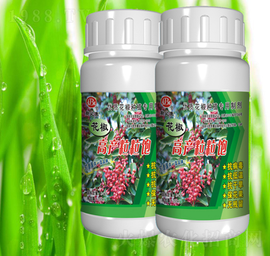 花椒高產(chǎn)粒粒飽-斯必康