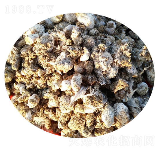 鵪鶉糞-碩田生物