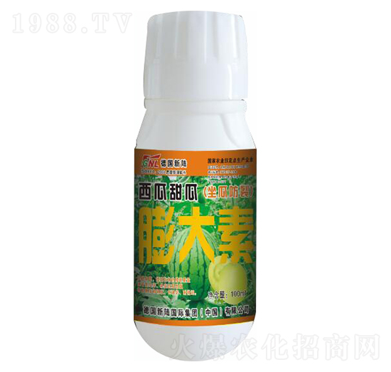 ��������������������-�»�