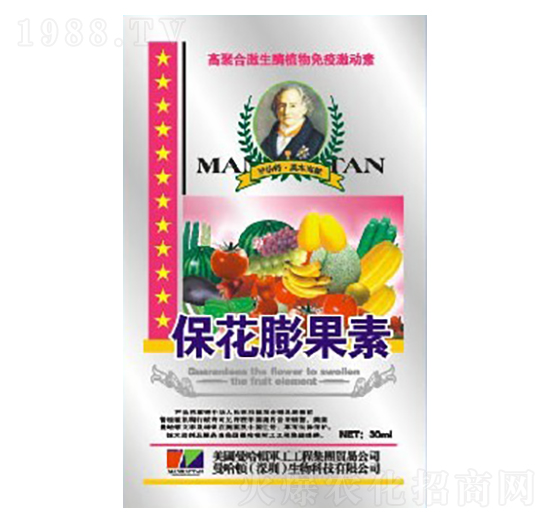 ���������-�»�