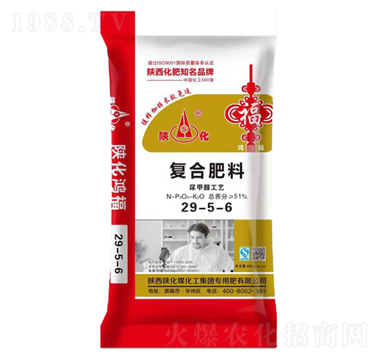 �ͺϷ���29-5-6-���R��