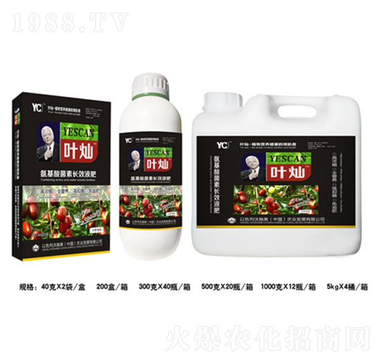 棗樹專用氨基酸菌素長(zhǎng)效液肥-葉燦-德化