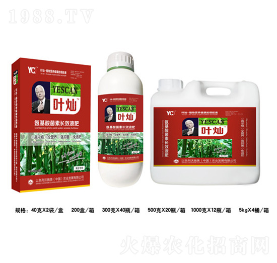 黃瓜專用氨基酸菌素長效液肥-葉燦-德化