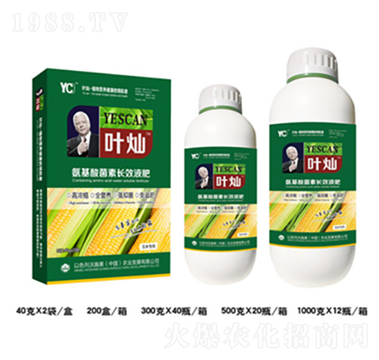 玉米氨基酸菌素長效液肥-葉燦-德化