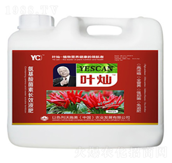 辣椒氨基酸菌素長(zhǎng)效液肥-葉燦-德化