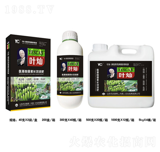 香蕉氨基酸菌素長效液肥-葉燦-德化