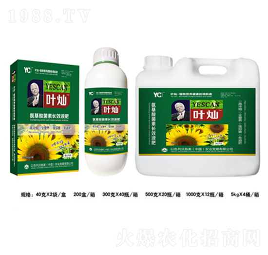 葵花氨基酸菌素長效液肥-葉燦-德化