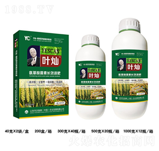 小麥水稻氨基酸菌素長(zhǎng)效液肥-葉燦-德化