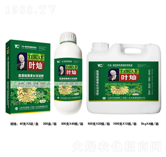 花生氨基酸菌素長(zhǎng)效液肥-葉燦-德化