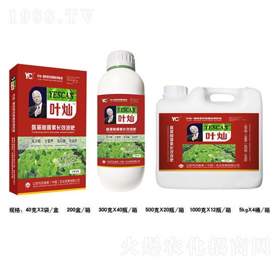 葉菜氨基酸菌素長(zhǎng)效液肥-葉燦-德化
