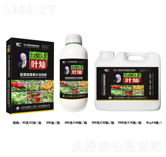 中藥材專(zhuān)用氨基酸菌素長(zhǎng)效液肥-葉燦-德化