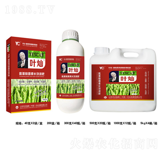 蘆筍氨基酸菌素長(zhǎng)效液肥-葉燦-德化