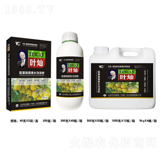 黃瓜氨基酸菌素長(zhǎng)效液肥-葉燦-德化